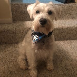 Meet your Posher, Sydney